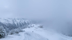 Hochsitz