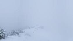 Hochsitz
