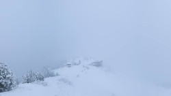 Hochsitz