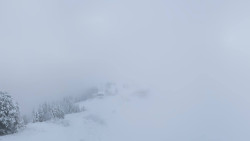Hochsitz