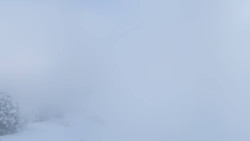 Hochsitz