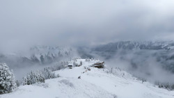 Hochsitz