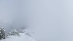 Hochsitz