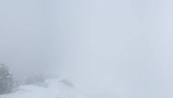 Hochsitz