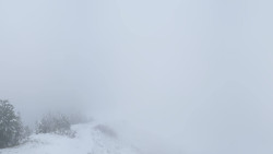 Hochsitz