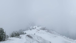 Hochsitz