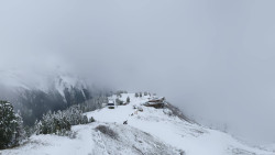 Hochsitz