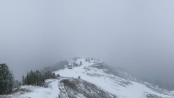 Hochsitz