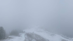 Hochsitz