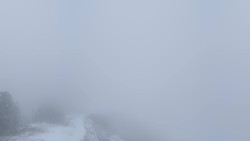 Hochsitz