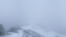 Hochsitz