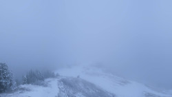 Hochsitz