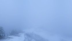 Hochsitz