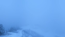 Hochsitz