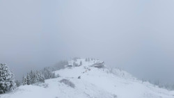 Hochsitz