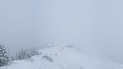 Hochsitz