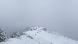 Hochsitz