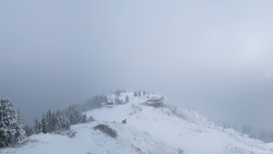 Hochsitz