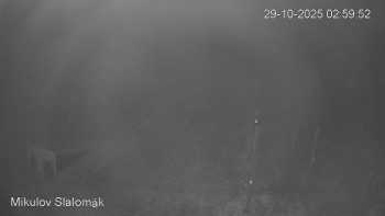 Snímek    29.10.2025 v 03:00
