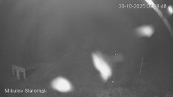 Vlek Mikulov, Slalomový svah