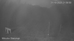 Vlek Mikulov, Slalomový svah