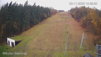 Snímek    3.11.2025 v 11:00