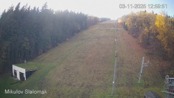 Snímek    3.11.2025 v 13:00