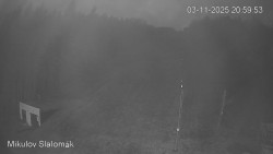 Vlek Mikulov, Slalomový svah