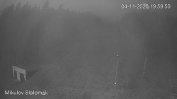 Vlek Mikulov, Slalomový svah