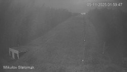 Vlek Mikulov, Slalomový svah