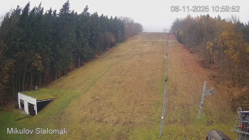 Snímek 6.11.2025 v 11:00