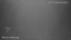 Vlek Mikulov, Slalomový svah