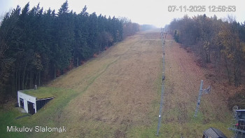 Snímek 7.11.2025 v 13:00