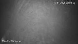 Vlek Mikulov, Slalomový svah