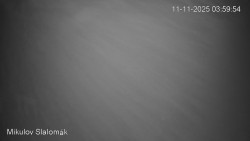 Vlek Mikulov, Slalomový svah