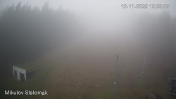 Vlek Mikulov, Slalomový svah