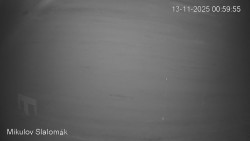 Vlek Mikulov, Slalomový svah