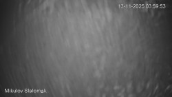 Vlek Mikulov, Slalomový svah