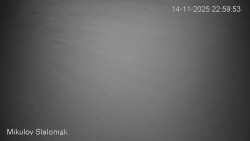 Vlek Mikulov, Slalomový svah