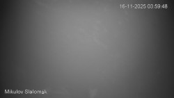 Vlek Mikulov, Slalomový svah