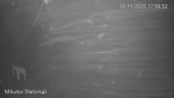 Vlek Mikulov, Slalomový svah