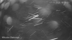 Vlek Mikulov, Slalomový svah