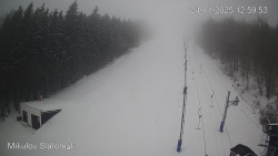 Vlek Mikulov, Slalomový svah