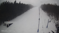 Vlek Mikulov, Slalomový svah