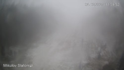 Vlek Mikulov, Slalomový svah