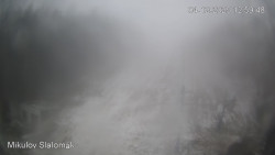 Vlek Mikulov, Slalomový svah