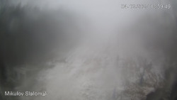 Vlek Mikulov, Slalomový svah