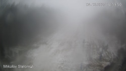 Vlek Mikulov, Slalomový svah