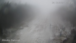 Vlek Mikulov, Slalomový svah