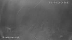 Vlek Mikulov, Slalomový svah